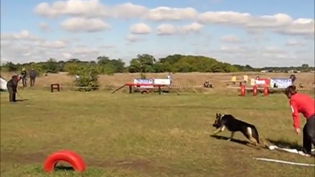 Соревнования служебных собак (Одесса, 02.10.2010) смотреть онлайн