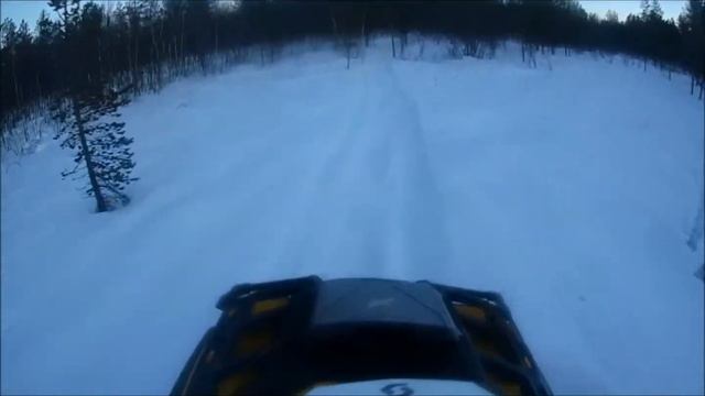 Черногубка смотреть онлайн