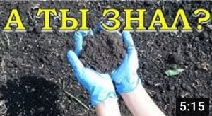 Отчего ЗАКИСЛЯЕТСЯ ПОЧВА? Способы раскисления