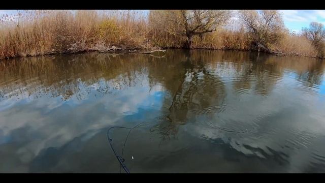 Ловля ЖЕРЕХА осенью. Оснастка для ловли на глубине, рабочие стримеры, тактика ловли.