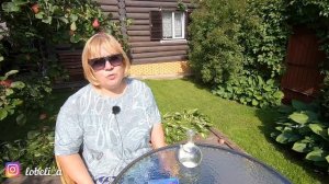 3 таблетки ЭТОГО и никакой мучнистой росы и фитофторы: профилактика и лечение грибковых заболеваний