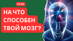 ГОЛОВНОЙ МОЗГ ЧЕЛОВЕКА - XTAD