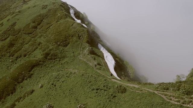 сегодня новости