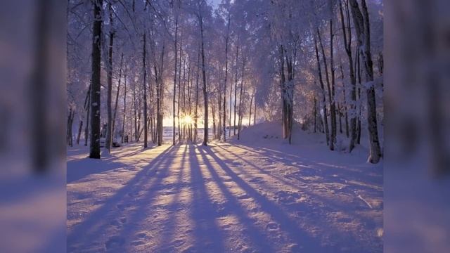 НОВОГОДНИЕ ФОТОГРАФИИ