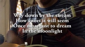 Tonight you belong to me - Ukulele Cover (Instrumental and Lyrics)