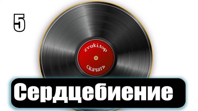 12 вариантов стука Сердца  Звук сердцебиения человека слушать