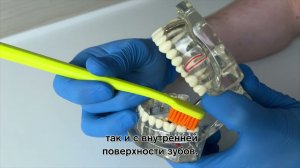 Как правильно чистить зубы. Техника чистки зубов