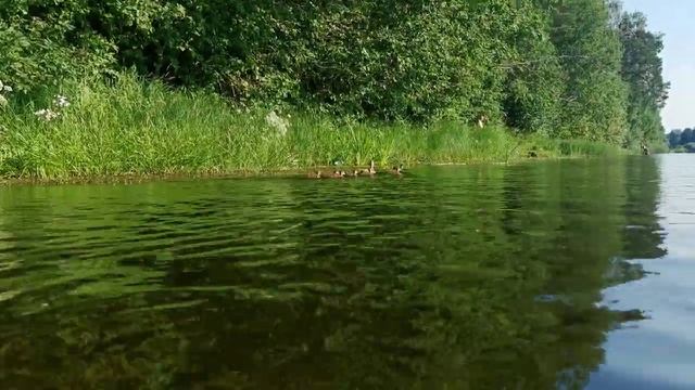 река Колпь Вологодская область 2021 год.mp4 смотреть онлайн