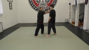 Урок 140 . Применение техник из таолу "Белый Журавль Машет Крыльями" школы- Юнчунь Байхэ Цюань.