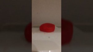 Что будет если положить пластилин на батарею??? А у меня есть ответ!!!