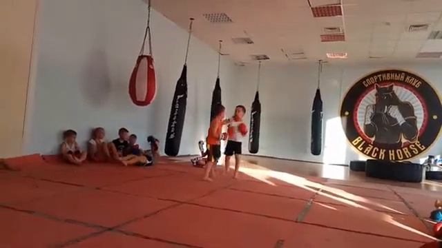 Спарринг. Стернин Марк - Эвальд Денис. Тайский бокс. Тренер: Ратманский С.И. СК "Black Horse" смотреть онлайн