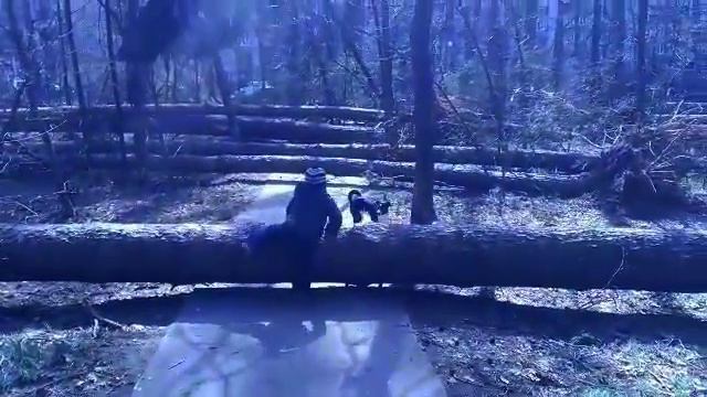 Ураган в Протвино | 21.04.2018 | Последствия смотреть онлайн