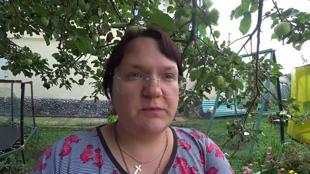 Почему яблони плодоносят не каждый год?