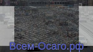 В самом большом мегаполисе мира за месяц не продали ни одного (!) автомобиля