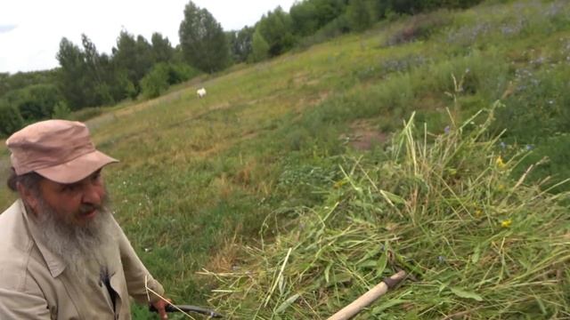 СЧАСТЛИВЫЕ ЛЮДИ.  ОТШЕЛЬНИК.