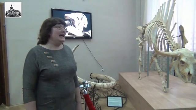 Открытие выставки Легенды ледникового периода в Азовском музее