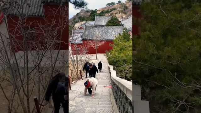 Everyone trying to get to the top of mountain Tai ! Top 5 Mountains  in China #hikingadventures