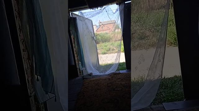 "Россия великая страна!"жадные паскуды из Тбилисской больницы. смотреть онлайн