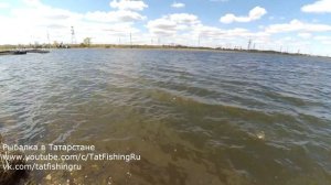 Отличный клёв карпа. Заинское водохранилище.
