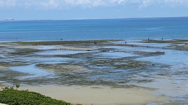 Занзабар, Танзания (Zanzibar, Tanzania) Как уходит Индийский океан смотреть онлайн