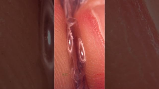 Popping Bubble Wrap