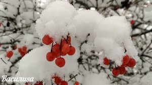 1 февраля народный праздник Макарьев День. Что нельзя делать. Народные традиции и приметы.