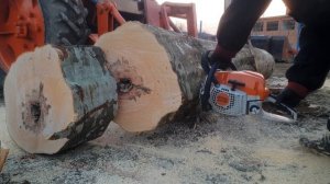 stihl ms 291 vs big log