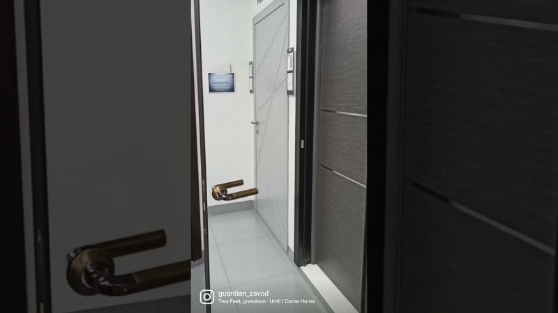 Межкомнатные двери Гардиан с алюминиевым профилем