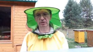 Изоляция маток лето