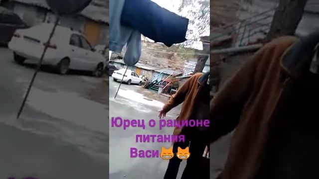 Диетолог Юрец о особенностях питания кота Василия