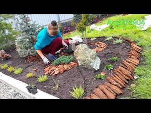 Мульчирование корой лиственницы.