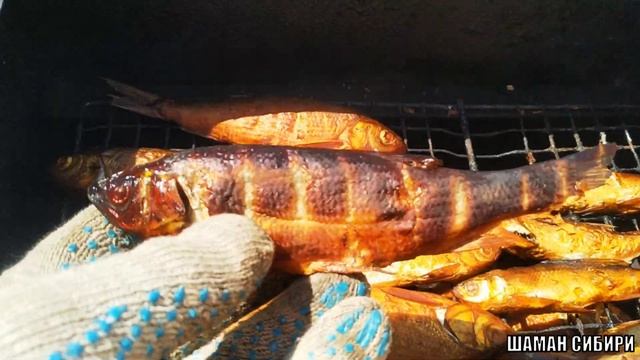 Рыба Горячего Копчения На Даче! Рецепт Приготовления! Дегустация!