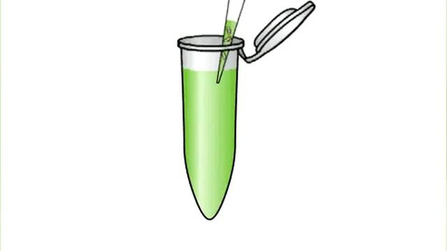 YouTube - Gene Cloning Animation with In-Fusion® смотреть онлайн