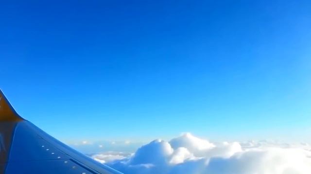 Твой Дом - Sokolov смотреть онлайн