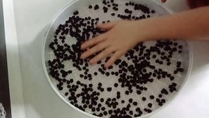 Цукаты из черноплодной рябины. Дети называют их изюмом.