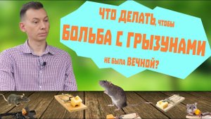 Вся правда про средства борьбы с грызунами. Полный разбор ядов и клеевых ловушек.