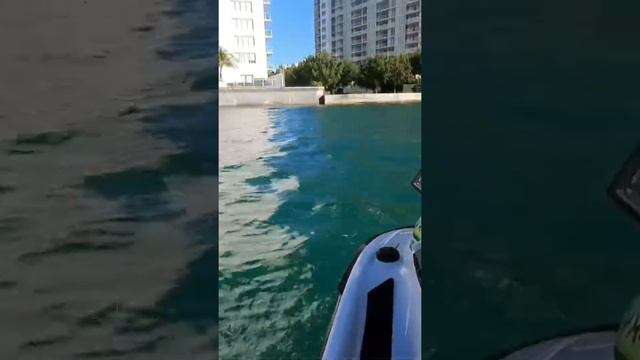 Miami Jet-Sky ? #kawasaki #jetsky #biker #miamibeach #miami