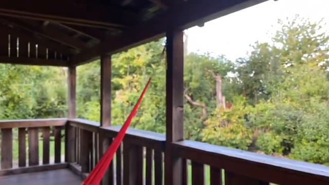 Путешествие в Цюрих, сентябрь 2022. Зоопарк Цюриха смотреть онлайн