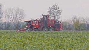 Совершенно новый свеклоуборочный комбайн Holmer Terra Dos 5