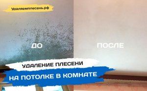 Удаление плесени на потолке в комнате | Санкт-Петербург и Лен.обл