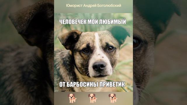 Говорящий пёсик 🐶