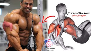 6 лучших упражнений для тренировки трицепсов ?