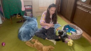 Йоркширский терьер. Всё про него.