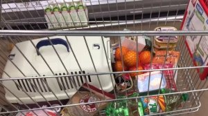 В Ашан с собакой! Новые правила магазина. Что значит Dog friendly?