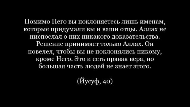 Такфир мушрикам смотреть онлайн