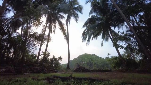 Sound healing, Индия, Гоа, Арамболь, звуки для медитации смотреть онлайн