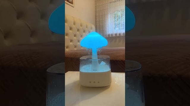 Rain Humidifier Mushroom