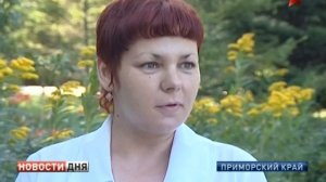 В Приморье акула вновь напала на человека