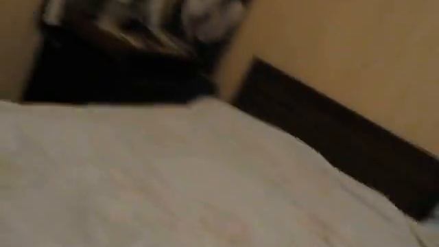 Миниатюрный бультерьер МАСЯ : )
