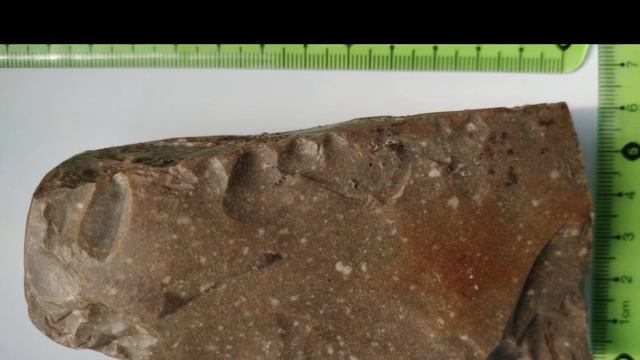 Польский фермер нашел фрагмент кремневого топора и кремневого наконечника копья. Им 5000 лет. смотреть онлайн